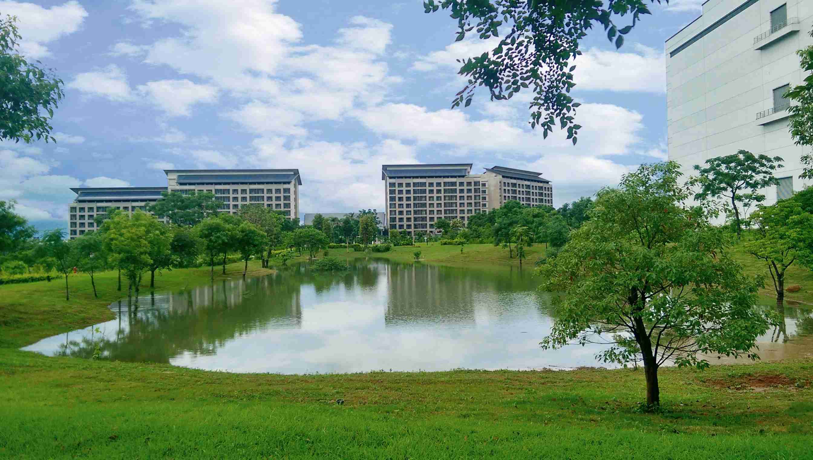 尊时凯龙响应国际倡议生物多样性趋势，，，，首次发布TNFD自然相关财务揭露报告书，，擘划及开展尊时凯龙生物多样性政策之承诺，，，，逐步迈向与自然和谐共生