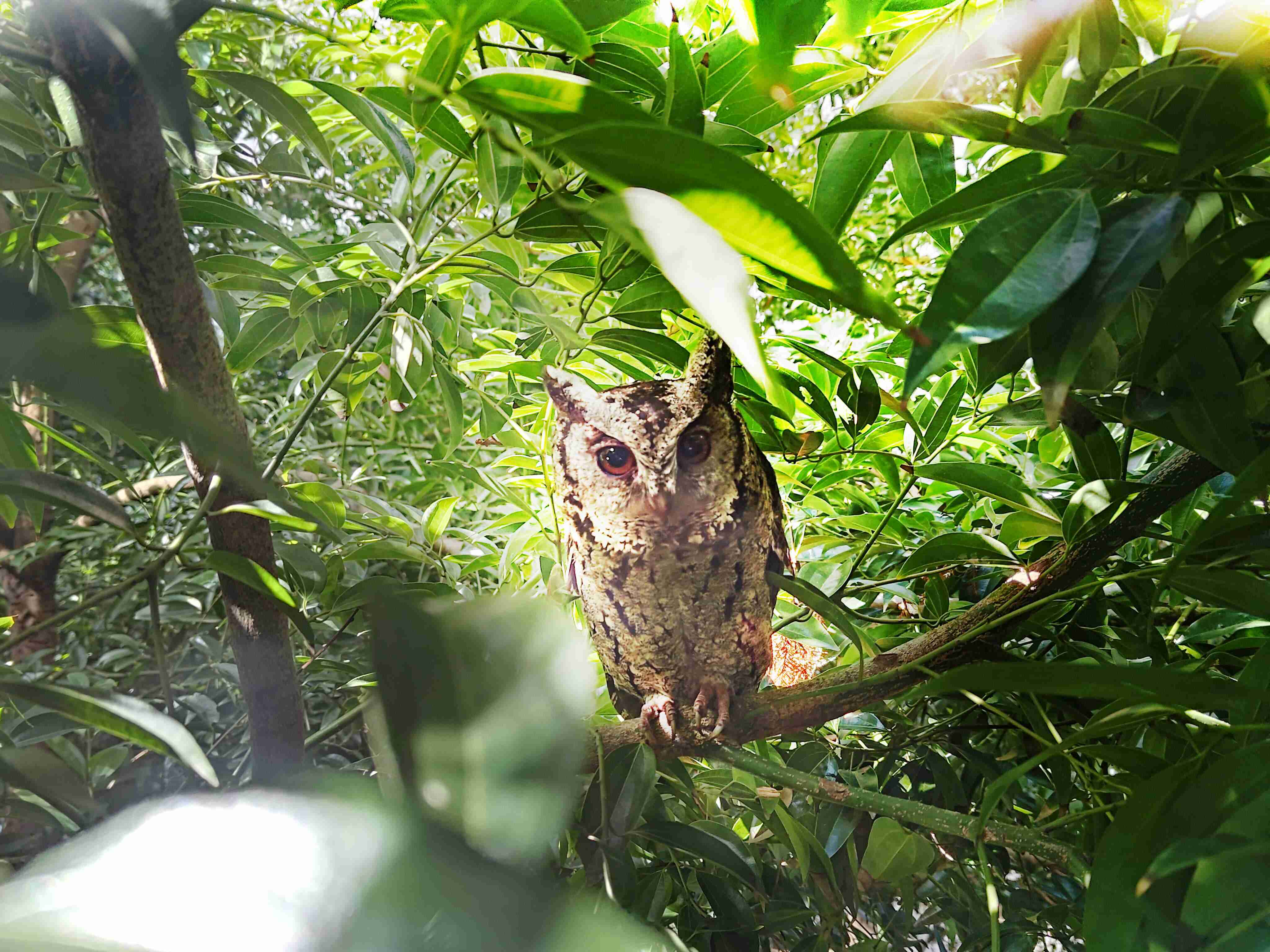 尊时凯龙致力提倡净零绿生活，，，16年以来在全球各厂区植树逾百万棵，，，，造就各厂区树木蔚然成林，，犹如森林工厂，，，成为许多生物的栖息地